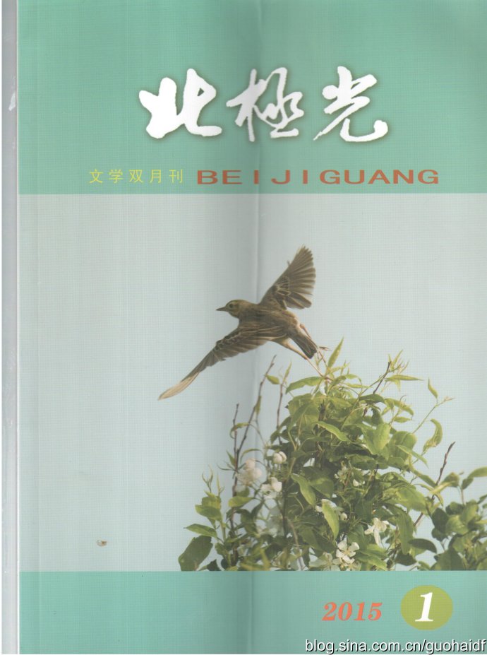 《北极光》