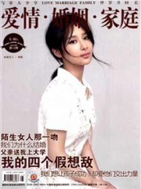 《爱情婚姻家庭》